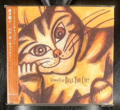 渋谷毅オーケストラ 「酔った猫が低い塀を高い塀と間違えて歩いている