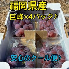 安心のクール便発送♪　種無し巨峰　4パック　秀品