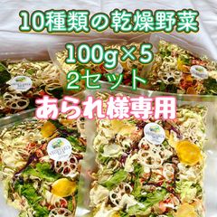 【あられ様専用】10種類の乾燥野菜100g×10
