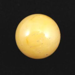 マッコウ鯨 牙玉 鯨歯玉 標本 緒締 根付 大約12.9㎜ - メルカリ