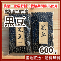 【農薬・化学肥料：栽培期間中不使用】黒豆600g  北海道 ニセコ