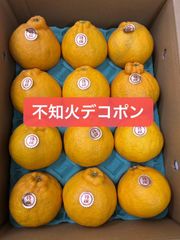 秀品！不知火デコポン12玉入り！！北海道東北各県沖縄発送不可
