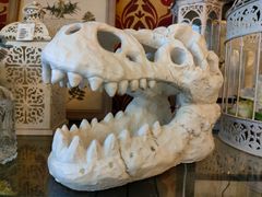 DINOWORLD】ティラノサウルス 頭骨化石 ジュラシックパーク - メルカリ