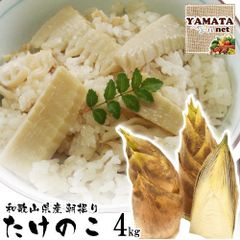 【予約】たけのこ 朝掘りタケノコ 和歌山県産 訳あり ご自宅用 4kg (ぬか付き) 発送開始時期:4月上旬〜