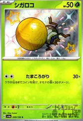 シガロコ(209/190 S)