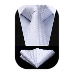[HISDERN] 結婚式 白 ネクタイ チーフ セット メンズ フォーマル 無地 ブランド 礼服用 紳士 入学式 卒業式 プレゼント高級 TF610W8S by