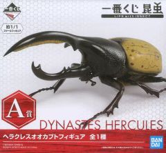 [중고] 피규어 헤라클레스 오오카부토 [이치반 복권 곤충 LIFE with INSECT] A상 피규어