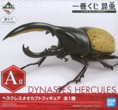 カブトムシ　タオル　一番くじ　新品未使用　25cm カブトムシ タオル 一番くじ 新品未使用 25cm 一番くじ昆虫 世界