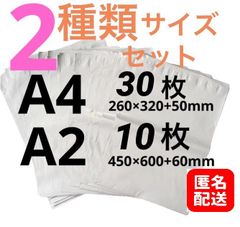 【匿名配送】LDPE宅配袋 宅配ビニール袋 a4 30枚 a2 10枚 強力テープ付き2種類セット