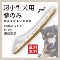 【パピーもOKな鹿角】超小型犬用　髄のみ　北海道産エゾ鹿の角　犬のおもちゃ　鹿の骨　A