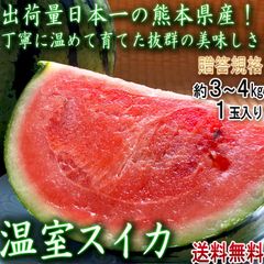 温室スイカ 赤肉西瓜 約3～4kg 1玉入り 熊本県産 贈答規格 生産量日本一の大産地、熊本で育てた抜群の味！甘さと食感の美味しいギフトすいか