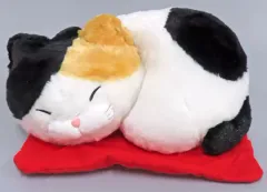 【中古】ぬいぐるみ みーさま ひげまんじゅう座布寝 BIGぬいぐるみ 「ひげまんじゅう」