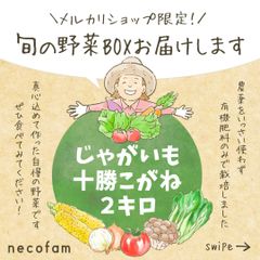 【埼玉県産/数量限定】十勝こがね　2キロ（2㎏）