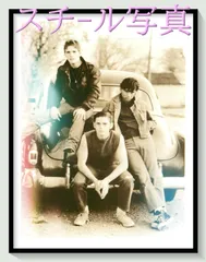 f『アウトサイダー』1983年映画オリジナルスチール写真　fu000448　フランシス・コッポラ Ｃ・トーマス・ハウエル マット・ディロン ダイアン・レイン ロブ・ロウ トム・クルーズ トム・ウェイツ ソフィア・コッポラ