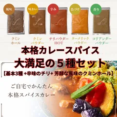 【D'sTs 直営店】 YouTubeで話題の カレースパイスセット 100g 基本の5種セット ～ ターメリックパウダー クミンパウダー コリアンダーパウダー チリパウダー クミンホール ～ カレー粉 無添加 カレーパウダー スパイスカレー カレー DsTsのサムネイル