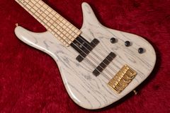 【used】Sugi / NB5M SL-ASH2P  FTIV  2019 3.665kg #S190187【GIB横浜】