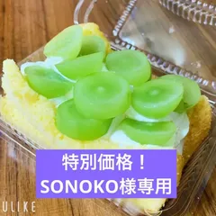 2023年最新】sonoko 食品の人気アイテム - メルカリ