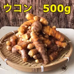 2025年最新】生姜種芋の人気アイテム - メルカリ