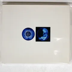 Amazon.co.jp: PIERROT/DVD 2002.5.10 LIVE AT NIPPON BUDOKAN