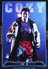 2025年最新】キングオブプロレスリングの人気アイテム - メルカリ