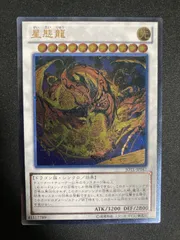 2025年最新】星態龍の人気アイテム - メルカリ