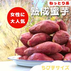 【限定お得パック！】熟成焼き芋『蜜芋』九州産の紅はるか 3ｋg