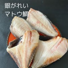 River.Seaトラウトブローチ(Taimen/ウッド製)【ウッド製】最終価格