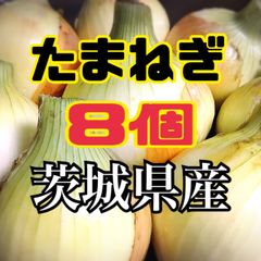 茨城県産　野菜　玉ねぎ　大8個