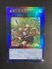 蒼翠の風霊使いウィン ars10+　憑依装着ウィン　ars10 キズ格安】第10期/09弾/RIRA-JP046 蒼翠の風霊使いウィン【20th