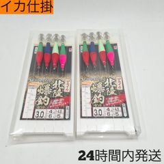 目細 アカイカ北陸爆釣セット スッテ3号 ハリス4号 フロロカーボン イカ仕掛