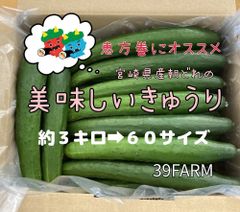 《農家直送》宮崎県産朝採れきゅうり 60サイズ箱