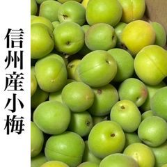 信州産 小梅 1キロ 訳あり 生梅 減農薬 - メルカリ