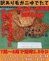 ゆでたて 訳あり毛ガニ７尾～８尾で２.５キロ前後活時計量　冷蔵便
