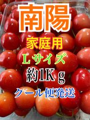 最終　77 予約販売　北海道産　さくらんぼ　南陽　Lサイズ　1キロ