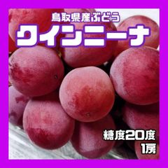 【クール】クインニーナ 糖度20度 1房 大きめ ぶどう 葡萄 ブドウ 送料無料 クイーンニーナ