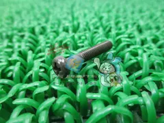 YB-1 ライティングコイルスクリュー 在庫有 即納 ヤマハ 純正 新品 バイク 部品 DT50 車検 Genuine ミント PW50 YB50 91のサムネイル