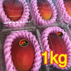 宮崎県産 完熟マンゴー 1kg 2~3玉 フルーツパック詰め