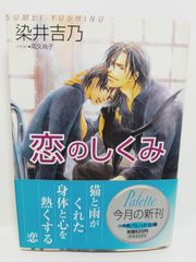 恋のしくみ (パレット文庫 そ 1-7) 染井 吉乃; 高久 尚子
