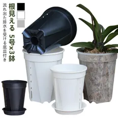 3鉢セット スリット鉢 5号サイズ 植木鉢 底皿付き 透明スリット鉢 スリット 鉢 植木鉢 透明 鉢 植え替え 観葉植物の植え替え 根が見える鉢 クリア 半透明 観葉植物の鉢 観葉植物 鉢 プラスチッ#kaka2942