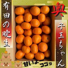 高糖系　有田みかん　2.5キロ　小玉