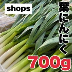 【農家直送】高知県特産‼️葉ニンニク 700g 即購入OK eej