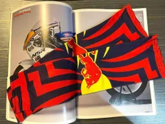 ☆アウトレット新品☆MotoGP バイク REDBULL RACING レーシング アームカバー 紫外線防止 夏 UVカット 男女兼用 日焼け防止  アウトドア グッズ - メルカリ