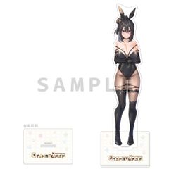 閃乱カグラセット C107 シノビマスター閃乱カグラ NEW LINK - メルカリ
