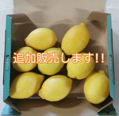 ☆A品☆広島県産レモン 1キロ