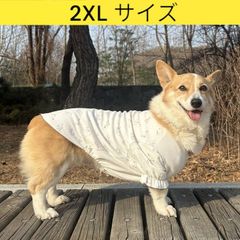 メルカリ ウェルシュ コーギー 服 パジャマ Tシャツ 2XL 中型犬 大型犬 春 夏 秋 冬 コーギー おしゃれ 犬服 doggystar ドッギースター