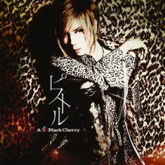 【最終価格！】Acid Black Cherry 未開封 アームウォーマー UP-G LEADER V12 HARD/V10 SOFT | XBRAID