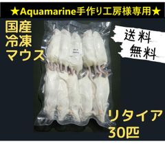 国産 冷凍マウス ピンクM 30匹(北海道沖縄発送可) - メルカリ