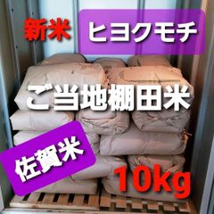 令和4年産棚田育ちのヒヨクモチ10kg 新米