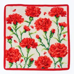 新品 フェイラー FEILER ハンカチ ハンドタオル 25cm レディース レッドカーネーション 【ネコポス】