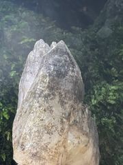 龍脈の精髄 宮崎県産緑泥石入り水晶クラスター 保護猫支援 - メルカリ